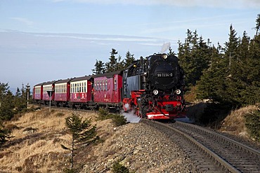 Brockenbahn railway on the way to the summit, Harz narrow-gauge railways, HSB, Brocken Mountain, Harz National Park, Saxony-Anhalt, Germany, Europe