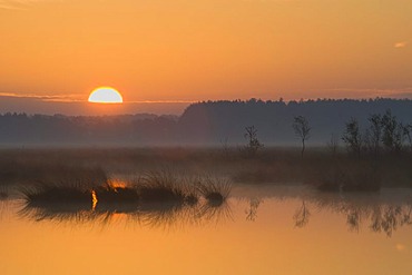 Marshland with sunrise, Tinner Dose moor, Haren, Emsland region, Lower Saxony, Germany, Europe