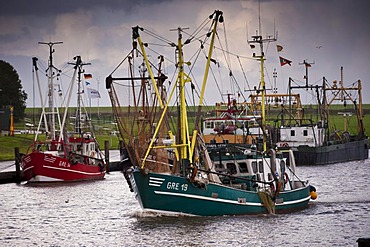 Shrimp trawler or shrimper in the harbour of Greetsiel, East Frisia, Lower Saxony, Germany, Europe