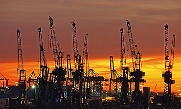 Harbour cranes at sunset, Port of Hamburg, Hamburg, Germany, Europe