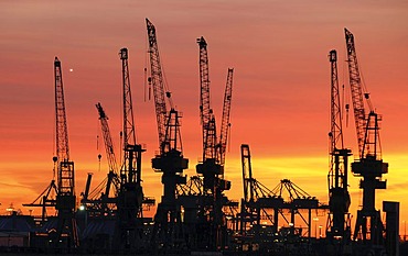 Harbour cranes at sunset, Port of Hamburg, Hamburg, Germany, Europe