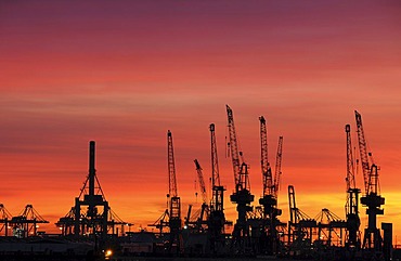 Harbour cranes at sunset, Port of Hamburg, Hamburg, Germany, Europe