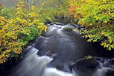 Stobber stream in Maerkische Schweiz Nature Park, Buckow, Brandenburg, Germany, Europe