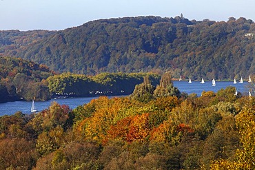 Baldeneysee Lake, reservoir of the river Ruhr, sailing boats, autumn, Essen, North Rhine-Westphalia, Germany, Europe