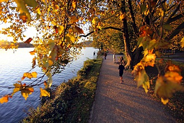 Baldeneysee Lake, reservoir of the river Ruhr, towpath, walkers, autumn, Essen, North Rhine-Westphalia, Germany, Europe