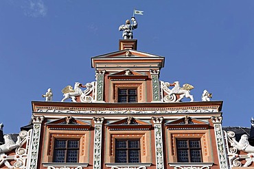 Gable ornaments on the Zum breiten Herd building, a Renaissance town house, historic district, Erfurt, Thuringia, Germany, Europe