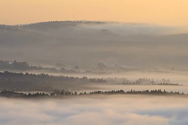 Fog in the Elbe Sandstone Mountains, Saxony, Germany, Europe