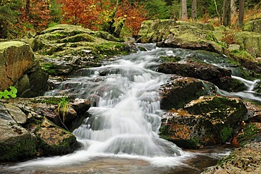 Unterer Bodefall waterfall in autumn, Braunlage, Lower Saxony, Germany, Europe