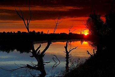 Sunrise, Danube Delta, Romania, Europe