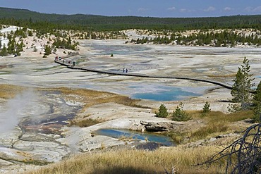 Norris Geyser Basin, Yellowstone National Park, Wyoming, USA