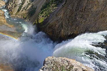 Lower Falls, Yellowstone Canyon, Wyoming, USA