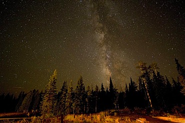 Starry sky in the Grand Canyon National Park, USA