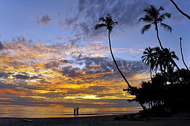 Couple with idyllic sunset under palm trees, Ceara, Brazil, South America