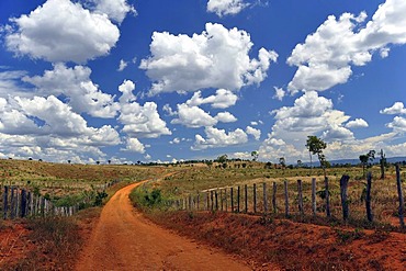 Vast pastures under a cloudy sky, Chapada Diamantina, Bahia, Brazil, South America