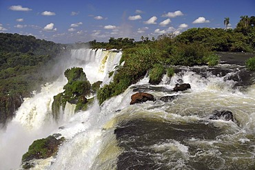 Cataratas del Iguazu, Iguazu Falls, Puerto Iguazu, Argentina - Brazil border, South America