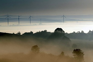 Autumn mood with fog, Dreienberg near Friedewald, Hesse, Germany, Europe