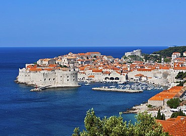 Overlooking the historic town centre of Dubrovnik, UNESCO World Heritage Site, Central Dalmatia, Dalmatia, Adriatic coast, Croatia, Europe, PublicGround