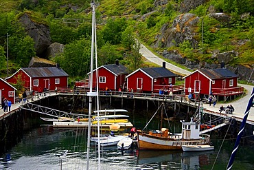 Small wooden houses, fishing village, Nusfjord, Lofoten, Norway, Scandinavia, Europe