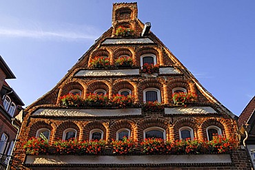 Old stepped gable, Renaissance era, windows decorated with geraniums, Grapengiesserstrasse, Lueneburg, Lower Saxony, Germany, Europe