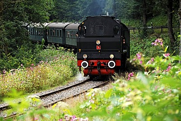 Steam locomotive from 1930 on a special trip in the Franconian Switzerland from Ebermannstadt to Muggendorf, Muggendorf, Upper Franconia, Germany, Europe