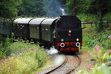 Steam locomotive from 1930 on a special trip in the Franconian Switzerland from Ebermannstadt to Muggendorf, Muggendorf, Upper Franconia, Germany, Europe