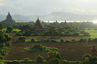 Rising smoke, fog and evening light between the fields, temples and pagodas in Bagan, Myanmar, Burma, Southeast Asia