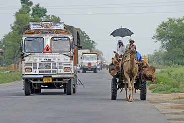 Camel cart and trucks on the highway near Dholpur, Rajasthan, India, Asia