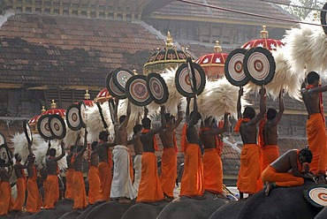 Pujaris standing on the backs of elephants, holding fans made of peacock feathers up in the air, Hindu Pooram festival, Thrissur, Kerala, southern India, Asia