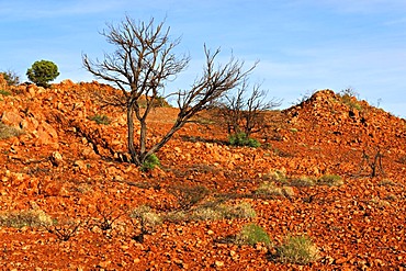 Australian outback landscape, Pilbara, Western Australia