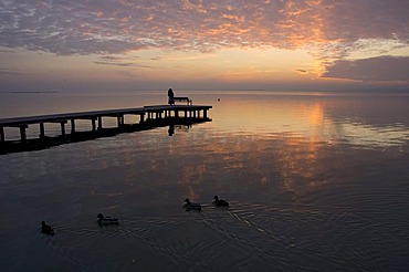 Jetty on Lake Neusiedl after sunset, steppe lake, Pannonian climate, National Park Neusiedler See, Burgenland, Austria, Europe