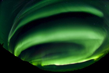 Swirling Northern lights, Polar Aurorae, Aurora Borealis, green, near Whitehorse, Yukon Territory, Canada