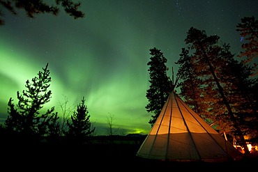 Illuminated teepee, tipi, tepee, Northern lights, Polar Aurorae, Aurora Borealis, green, near Whitehorse, Yukon Territory, Canada