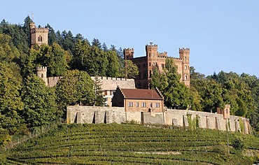 Burg Ortenberg Castle youth hostel, Ortenberg near Offenburg, Baden-Wuerttemberg, Germany, Europe