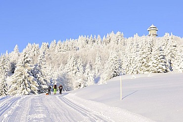 Cross country skiers on Feldberg mountain, southern Black Forest, Black Forest, Baden-Wuerttemberg, Germany, Europe