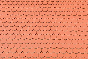 Biberschwanz roofing tiles