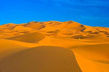 Sand dunes of Erg Chebbi, Sahara, southern Morocco, Africa