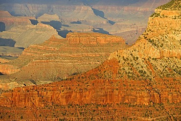 View at sunset from Yavapai Point lookout towards Pattie's Butte, Bright Angel Canyon, evening light, Grand Canyon National Park, South Rim, Arizona, United States of America, USA