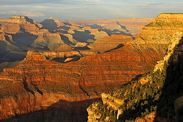 View of Vishnu Temple at sunset from Yavapai Point, Desert Palisades, Wotan's Throne, Comanche Point, evening light, Grand Canyon National Park, South Rim, Arizona, USA