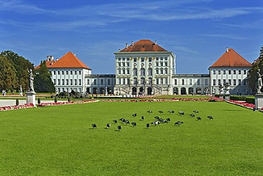 Nymphenburg Palace, Nymphenburg Park with geese, Munich, Bavaria, Germany, Europe