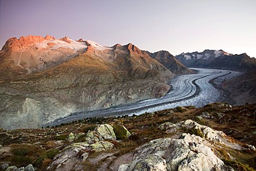 Aletsch Glacier at sunrise, seen from Moosfluh, Canton of Valais, Switzerland, Europe, PublicGround