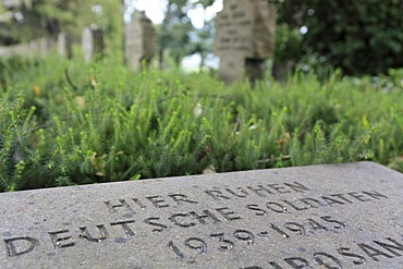 German soldier's grave, military cemetery, Cimitero Militare, Brixen, Bressanone, Valle Isarco, South Tyrol, Trentino-Alto Adige, Italy, Europe