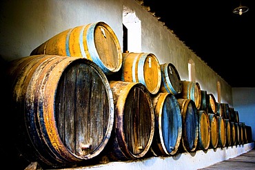 Wine barrels in Museum of Wine in La Geria, where wine is grown in full volcanic ash, a production that is unique in the world, Lanzarote, Canary Islands, Spain, Europe