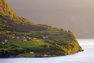 Fimreite and Sognefjord illuminated by warm evening light, Norway, Europe