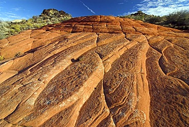 Sandstone pattern in Snow Canyon State Park near St. George in southern Utah, USA