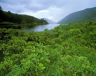 Glenveagh National Park, County Donegal, Republic of Ireland, Europe