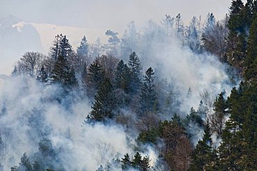 Forest fire in the Karwendel region near Innsbruck, Tyrol, Austria