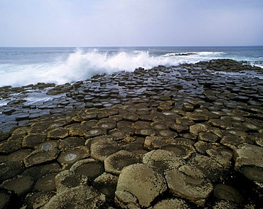 Coast, Giants Causeway, County Antrim, Northern Ireland, United Kingdom, Europe