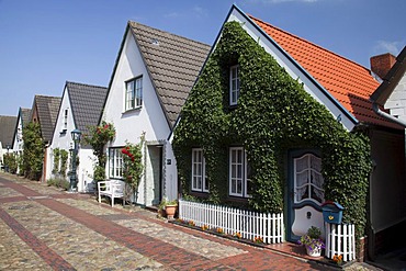 Houses, Carl Haberlin-Strasse street, Wyk auf Foehr, Foehr island, North Sea, North Frisia, Schleswig-Holstein, Germany, Europe, PublicGround