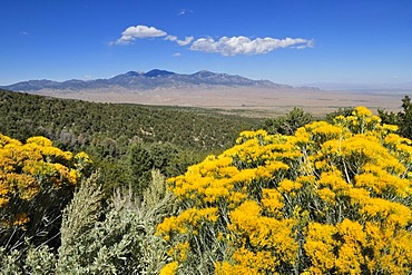 Mount Moriah as seen from Great Basin National Park, Nevada, USA, North America