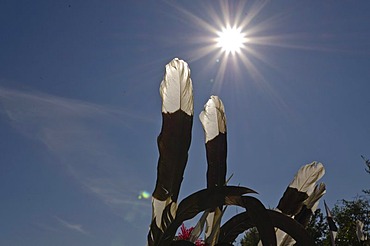 Feathers, decoration at the annual Hornbill Festival in Kohima, India, Asia